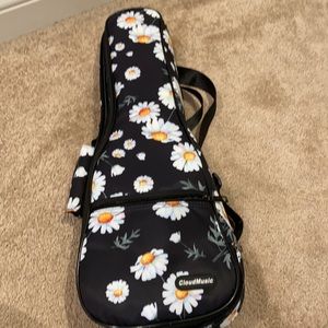 Ukulele case